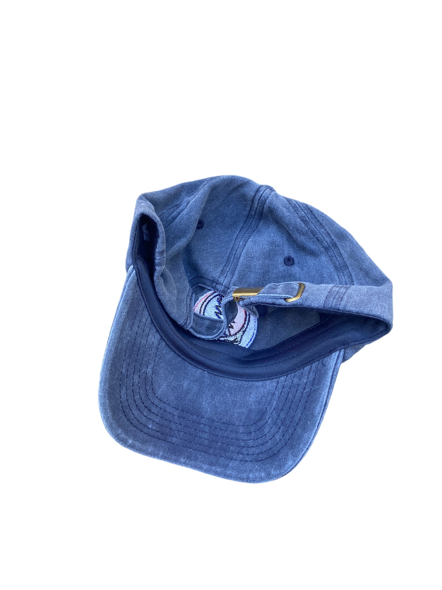 Stealie Dad Hat-Dusty Navy