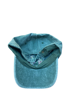 Terrapin Dad Hat